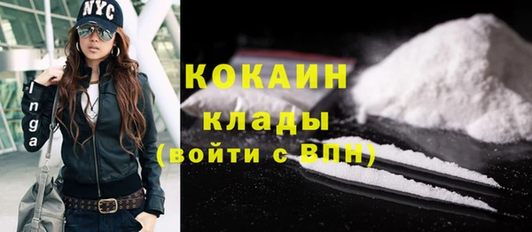 стаф Алексин
