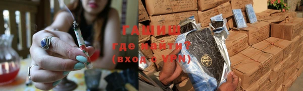 стаф Алексин