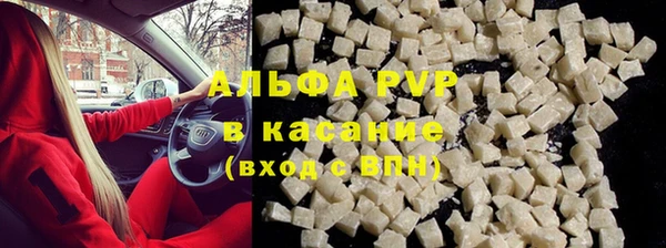 стаф Алексин