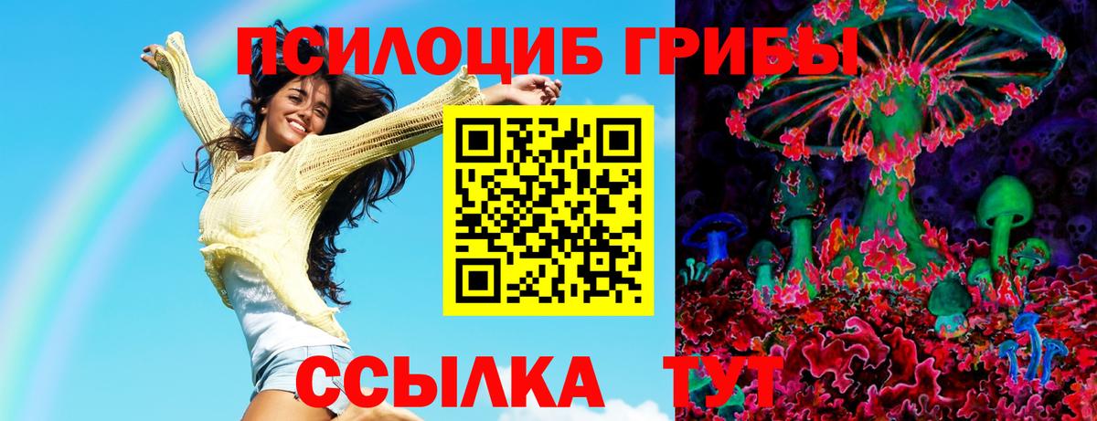 Амурск  Галлюциногенные грибы мицелий  Вход с VPN 